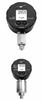Digital Manometer -- LEO Record - Image