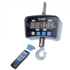 Crane Scales -- IE Series/100C, 100E