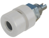 Banana Connectors - 2808759 - RS Components, Ltd.