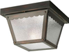 P5727-20 Exterior -Ceiling Mount - 438985 - Capital Lighting, Inc.