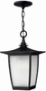 1362BK-ESDS Exterior -Hanging - 440104 - Capital Lighting, Inc.