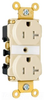 Duplex/Single Receptacle - TR63-I - Thomas & Betts Corporation