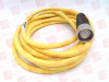 QD Cable/Cord Set - 6543035 - Radwell International