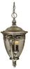 Exterior -Hanging - 653398 - Light Center (The)