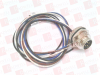 Plug/Receptacle - 3602166 - Radwell International