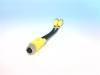 QD Cable/Cord Set - Radwell International