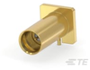 Coax Connectors - 2406830-1 - TE Connectivity