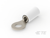 Ring Terminals - 50840 - TE Connectivity