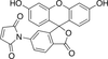 Fluorescein 6-Maleimide - F489530 - Toronto Research Chemicals, Inc.