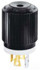 Locking Device Plug -- 71830NP - Image