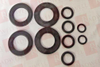 Valve Repair Kit -- 41711301
