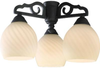 Fans-Light Kits - 23199 - Light Center (The)
