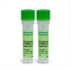 SsoAdvanced&trade; SYBR<sup>&reg;</sup> Green Supermix - 172-5260 - Bio-Rad Laboratories, Inc.