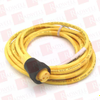 QD Cable/Cord Set - 583353 - Radwell International