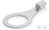 Ring Terminals - 31498 - TE Connectivity