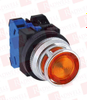 Pushbutton - 101878109 - Radwell International