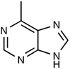 6-Methylpurine - 12193 - Medical Isotopes, Inc.