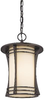Exterior -Hanging - 391772 - Light Center (The)