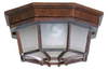 Exterior -Ceiling Mount - 299843 - Light Center (The)