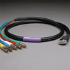 PROFlex VGA 5Ch 3CFB 15P Male-RCAP 40' - 30VGA53CFB-15MR-040 - HAVE, Inc.