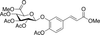4-O-Acetyl Caffeic Acid Methyl Ester 3-O-(Tri-O-acetyl-.. - A171800 - Toronto Research Chemicals, Inc.