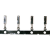 Rectangular Connector Contacts - 4285-720250-2MACCT-ND - DigiKey