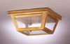 Exterior -Ceiling Mount - 345447 - Light Center (The)