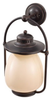 Outdoor Wall Light - OL9304GBZ - Generation Brands