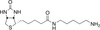 5-(Biotinamido)pentylamine - 20813 - Medical Isotopes, Inc.