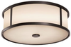 Outdoor Ceiling Light - OL7613ES - Generation Brands