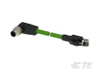 M8/M12 Cable Assemblies -- TCX38825102-002 - Image
