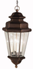 Exterior -Hanging - 256051 - Light Center (The)
