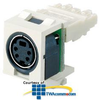 Panduit® NetKey Keystone Module with S-Video.. - NKSPM - TelephoneStuff.com