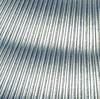 SilverCoat, 