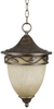 Exterior -Hanging - 319474 - Light Center (The)