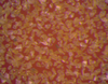 Borazon® Micron CBN Powders -- cBNMic diamond Powders - Image