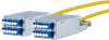 DCCS6xLC-DLink -- 130DF971XXXXE
