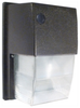 Outdoor Wall Light -- WPTS70