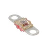 Fuses - 153.7010.5502-ND - DigiKey