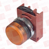 Pilot Light -- 12271865 - Image