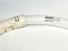 55 Watt, 12" Diameter Cool White T5 Circline Bulb - 165928 - bulbs.com