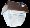 Vandal Resistant Commercial Fixture - VAN5F96MS - RAB Lighting