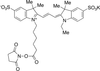 Cyanine 3 Monofunctional Hexanoic Acid Dye, Succinimidyl E.. - C960400 - Toronto Research Chemicals, Inc.