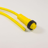 OBSOLETE - Alpha Connect Cordset - Mini Female Straight to Cut End - 16AWG 3 Poles - KR0300113 - Yellow - 5M (16.4ft) - ALPKR0300113-YL358 - Lapp Tannehill