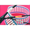 Cable Assembly - 484-6675090001 - ERSAELECTRONICS PTE. LTD.