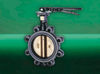 F624 GEM Butterfly Valve - Image