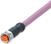 Connecting cable with socket - EVCC06 - ifm electronic gmbh