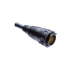 Circular Cable Assemblies - 1754-ED-31AFMM-LL7A06-ND - DigiKey