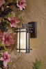 Exterior -Wall Mount - 21380 - Light Center (The)