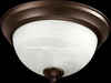 3066-13886 Flush Mounts-Bowl Style - 688127 - Capital Lighting, Inc.